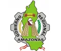 GOBIERNO REGIONAL DE AMAZONAS Logo